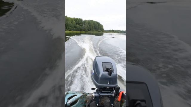 Тарпон 9,9 Разгон и выход на глиссер