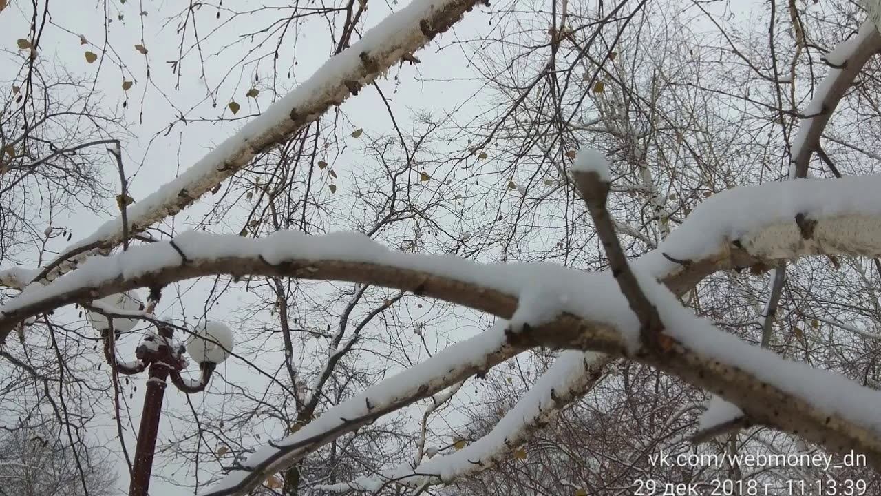 29 Декабря 2018 Донецк смотреть онлайн
