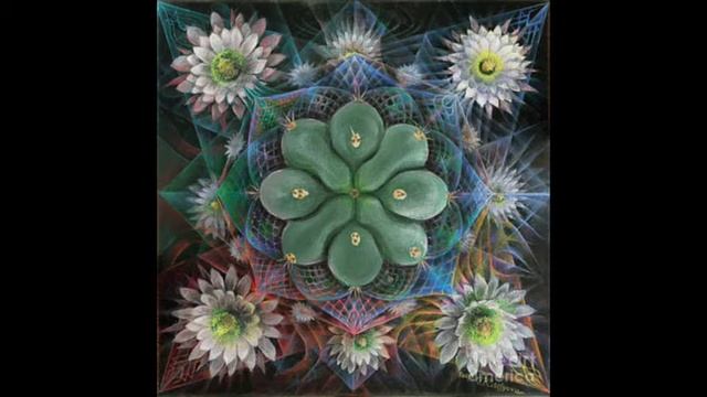 Mescaline Trip Report: Subtle Psychedelic with a Wonderful Afterglow смотреть онлайн