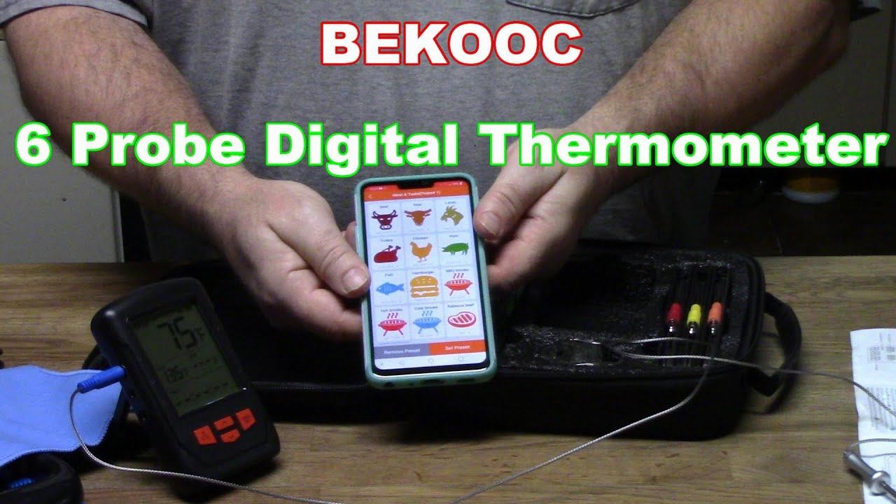 BEKOOC 6 Probe Digital Thermometer Review and Giveaway! смотреть онлайн