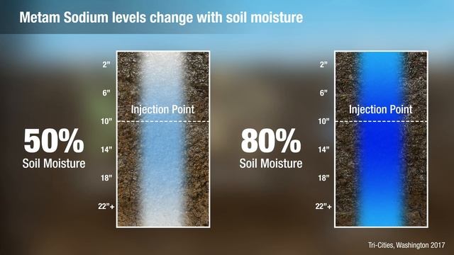 Keys for Enhancing Metam Sodium Movement in Soil смотреть онлайн