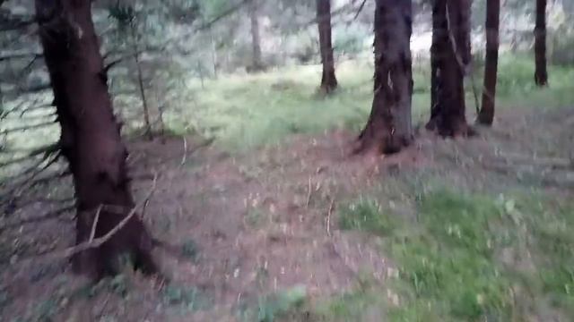 Как и положено осенью!-на открытом месте,в бору!🙈👀👍 смотреть онлайн