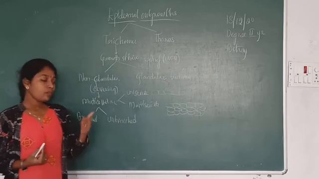 degree 2 bot (18/12) смотреть онлайн