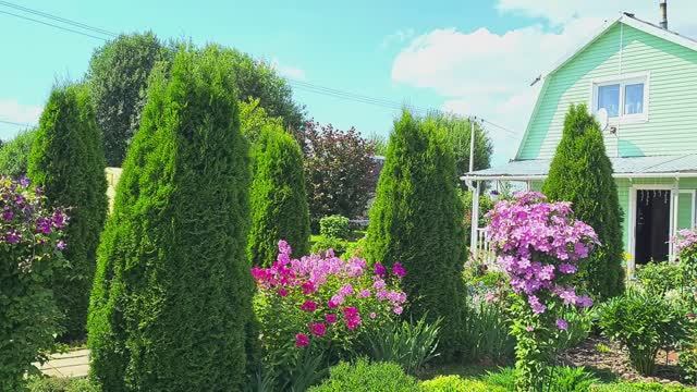 Уютная дача 22 июля 2024г.🏡 Цветут Клематисы, Розы, Лилии!🌹💕 смотреть онлайн