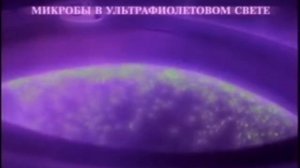 Реклама Domestos 2008