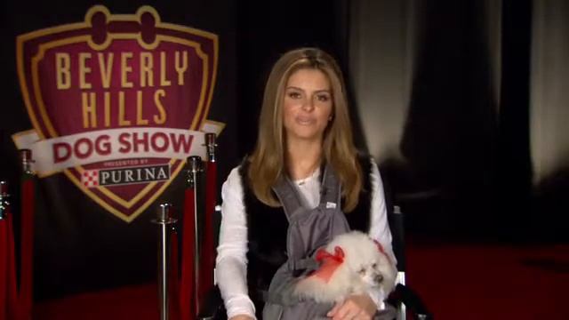 The Beverly Hills Dog Show Presented by Purina смотреть онлайн