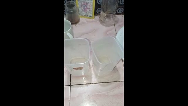 Persilangan Monohibrid dan Gen Terpaut Kromosom Seks Pada Drosophila sp. смотреть онлайн