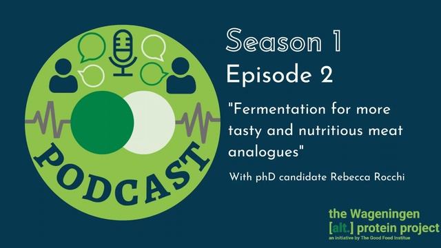 S1 EP2: Fermentation for more tasty and nutritious meat analogues смотреть онлайн