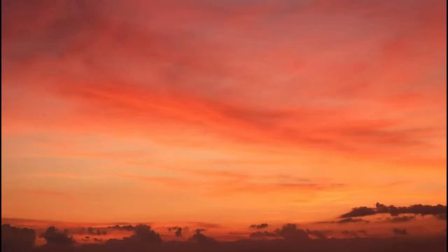 Jhalla Wallah | Ishaqzaade - Shreya Ghoshal ( Lyrics ) смотреть онлайн