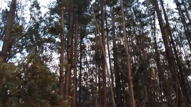 London Grammar - Hey Now - Ambient Instrumental Cover by Anna Papij смотреть онлайн