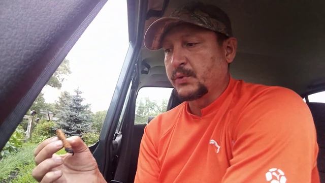 Кубан криоло от Табакевича 1 год отлежки смотреть онлайн