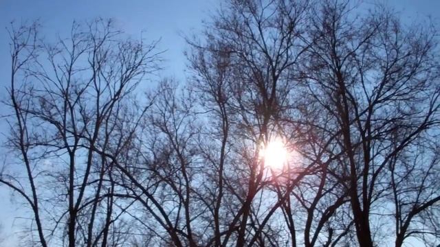 БЕЗструктурное управление