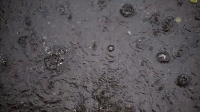 ОСВЕЖИТЕ СВОЙ ДЕНЬ: польза контрастного душа для здоровья смотреть онлайн