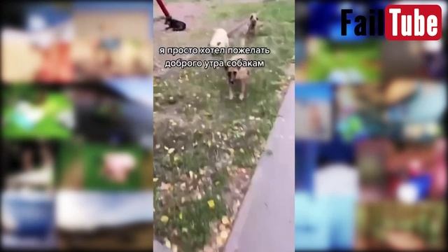 Приколы для взрослых. Лучшие приколы 2024. Смех. Юмор. смотреть онлайн