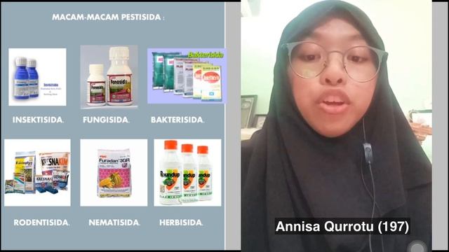 KELOMPOK 3 PENGENDALIAN OPT SECARA KIMIAWI смотреть онлайн