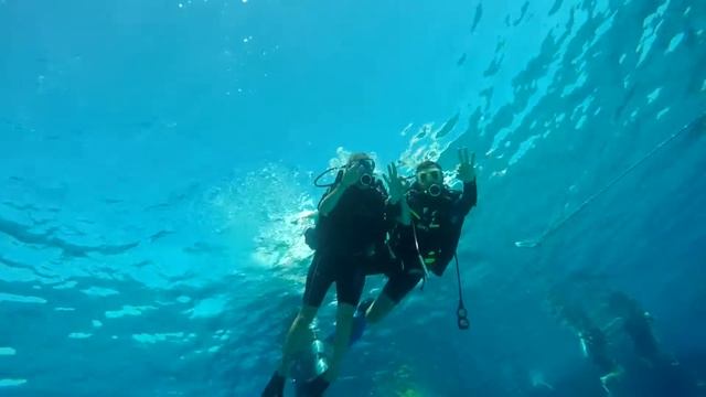 Diving in Hurghada смотреть онлайн