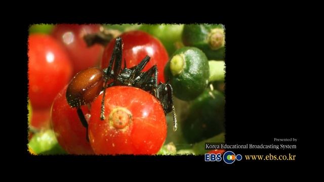 Паразиты. Все серии смотреть онлайн