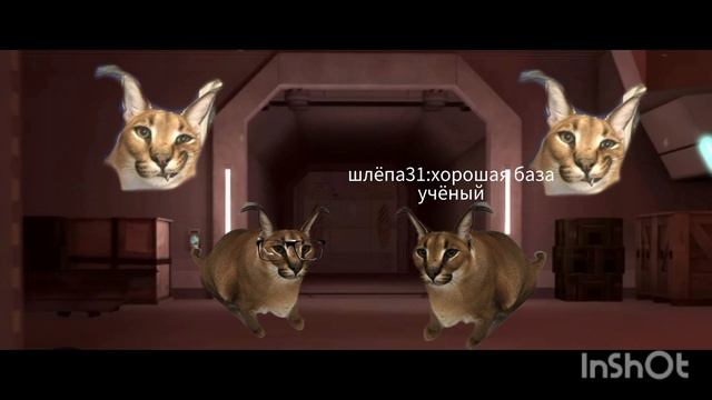 ну что это вселенная шлёпы против снюсав смотреть онлайн
