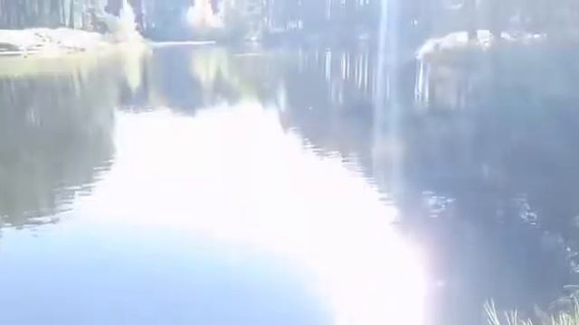 Нуриева Чулпан. Музыкально-литературная композиция смотреть онлайн
