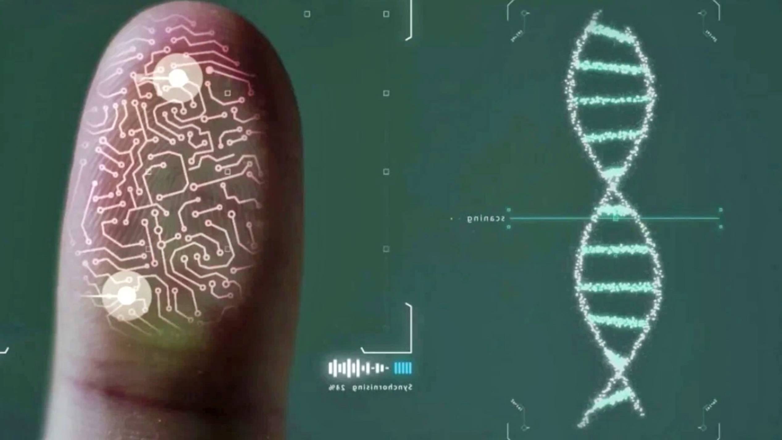 Геномная Регистрация Трудовых Мигрантов | Изменения для Иностранцев в Ноябре 2024 г