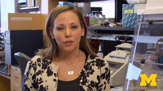 Cancer Biology Ph.D. Program at the University of Michigan смотреть онлайн