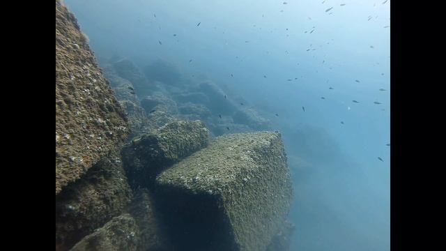 Diving in Tarragona, June 2022 смотреть онлайн