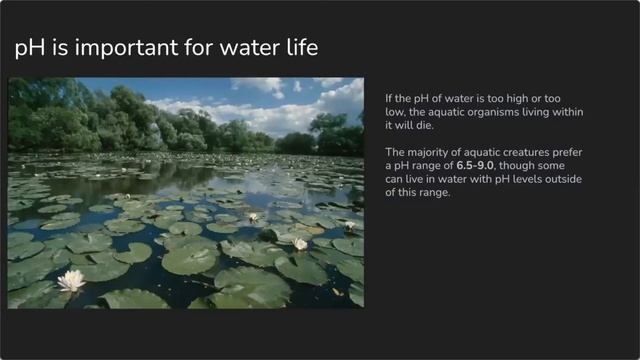 2021-2022 Aquatic Science - Investigate a Local Aquatic Environment смотреть онлайн