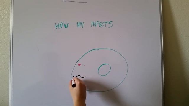 How HIV Infects Cells: An Introduction смотреть онлайн