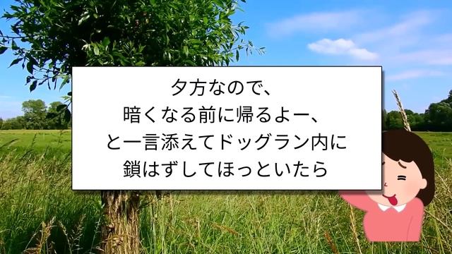 【2ch面白いスレ】これ笑わない奴いないだろw爆笑不可避の面白コピペ101選【ゆっくり解説】 смотреть онлайн