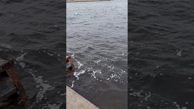 Под звук ветра и воды #вода #ветер #река #озеро #день #вечер #течение #напорство #удача #успех #шан смотреть онлайн