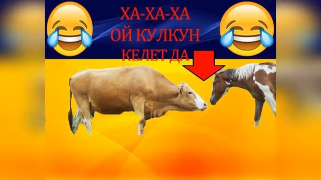 КЫРГЫЗ ТИЛИ~1 смотреть онлайн