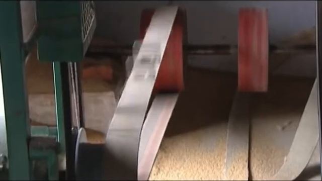 Minor millets and women empowerment in India смотреть онлайн