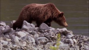 Уголок России  Видео клип о красоте русской природы  Наше всё!