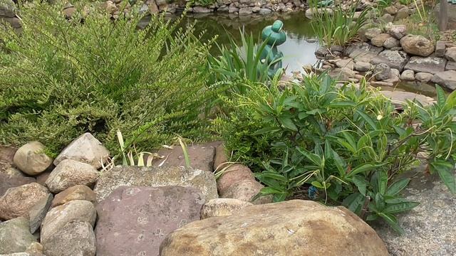 Gartenteich selbst anlegen – Darauf muss geachtet werden / Teich selber bauen – DIY Tipps смотреть онлайн