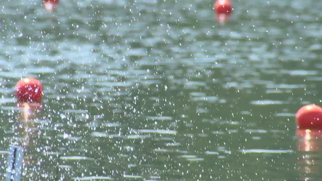 Under water, over water: rare GoPro views of rowing смотреть онлайн
