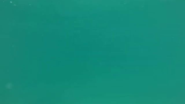 Thailand 01/2015 Koh Phi Phi / P.P. Islands Tour / Türkises Wasser traumhaft schön 1080p HD смотреть онлайн