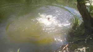 Прыжки в воду на речке