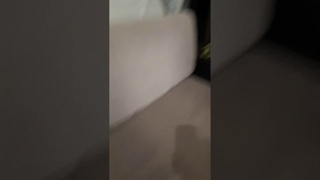 Бой подушками смотреть онлайн