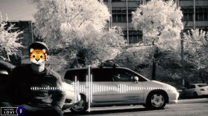 Фарик Назарбаев Евро бродяга