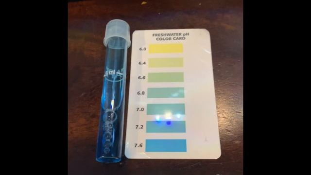 How to test the ph and ammonia on your fish tank! смотреть онлайн