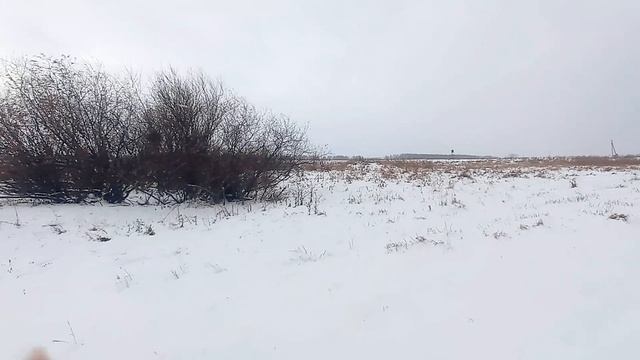 50657401 смотреть онлайн