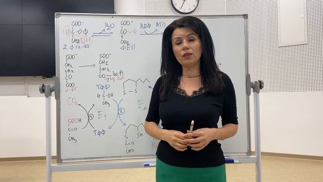 Окислително фосфорилиране на субстратно ниво/Oxidative Phosphorylation At Substrate Level