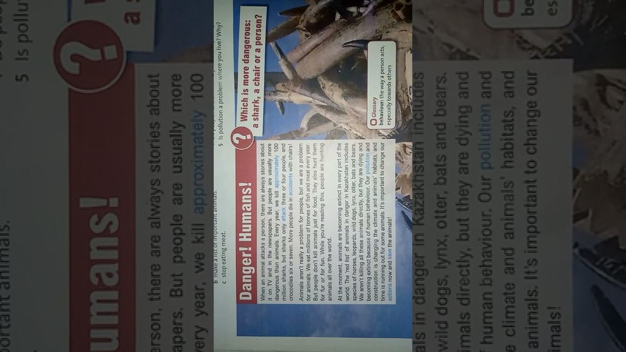 English Plus 6 класс 34 бет Student's book 6 сынып жауаптарымен смотреть онлайн