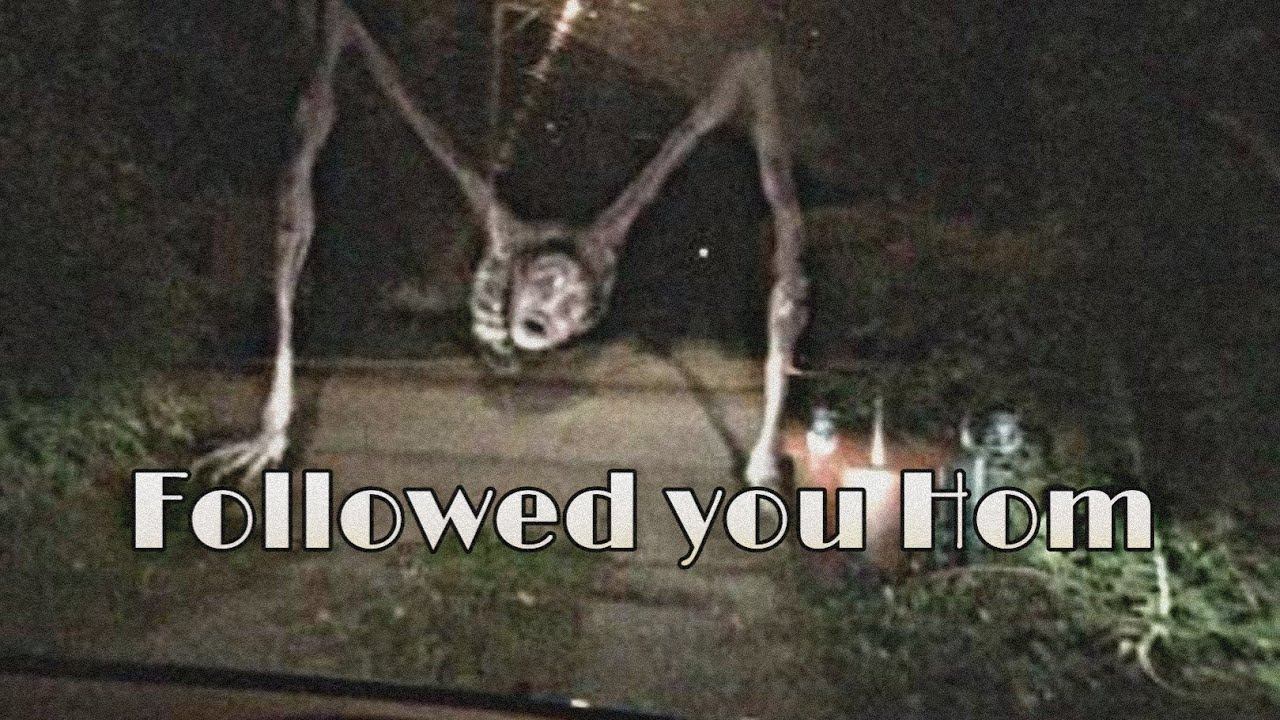 Followed you Hom ( Следующий за вами домой). Trevor Henderson Universal. смотреть онлайн