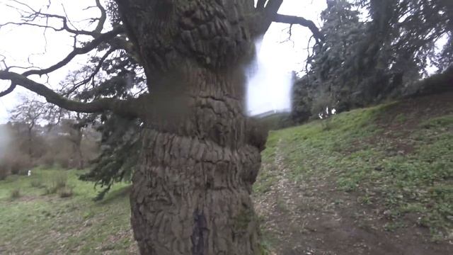 Прогулки по Киеву. Прогулка на Печерск, в Ботанический Сад. 9 апреля смотреть онлайн