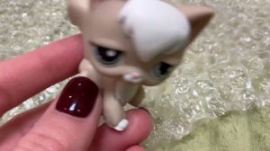 ЛПС РАСПАКОВКА|LPS UNBOXING #15