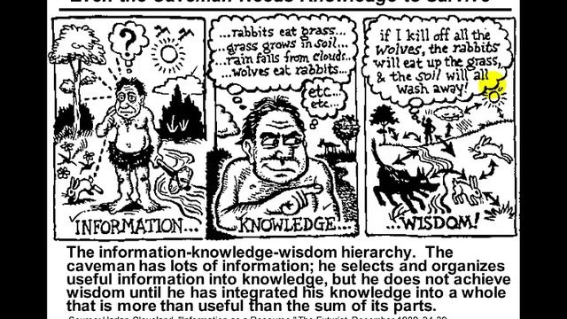 Information Life Cycle, Characteristics of information, Data-information-knowledge-Wisdom Hierarchy смотреть онлайн