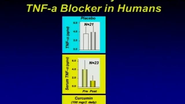 Sunil Pai, MD: All Natural Anti Inflammatories for Cancer Presentation смотреть онлайн