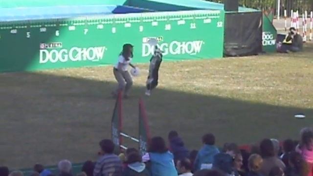 PURINA DOG CHOW PERROS INCREÍBLES 4-20 смотреть онлайн