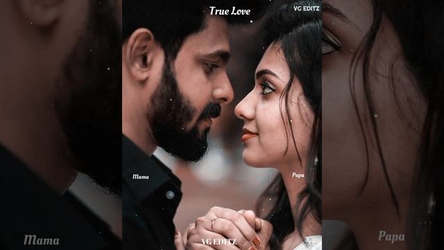 Tamil whatsappstatus lyrics // Tamana love dialogue // mama papa love dialogue //VG EDITZ смотреть онлайн